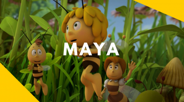 El informe del Juez Buenacera