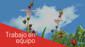 Trabajo en Equipo