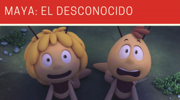 El desconocido 