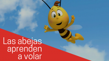 Las abejitas aprenden a volar 